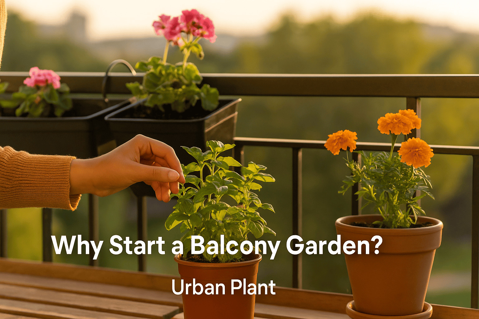 a balcony garden during golden hour, with a woman tending to herbs and flowers in pots – Why Start a Balcony Garden? | Urban Plant